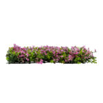 GloboStar® Artificial Garden CYPHEA HYSSOPIFOLIA 20350 Τεχνητό Διακοσμητικό Πάνελ Λουλουδιών - Κάθετος Κήπος σύνθεση Άνθος Κουφέας Μ50 x Π50 x Υ11cm - Image 3