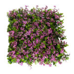 GloboStar® Artificial Garden CYPHEA HYSSOPIFOLIA 20350 Τεχνητό Διακοσμητικό Πάνελ Λουλουδιών - Κάθετος Κήπος σύνθεση Άνθος Κουφέας Μ50 x Π50 x Υ11cm - Image 4