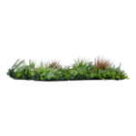 GloboStar® Artificial Garden JUNGLE FERN 20351 Τεχνητό Διακοσμητικό Πάνελ Φυλλωσιάς - Κάθετος Κήπος σύνθεση Ζούγκλα Φτέρης Μ100 x Π100 x Υ20cm - Image 3