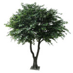 GloboStar® Artificial Garden BANYAN FICUS TREE 20361 Τεχνητό Διακοσμητικό Δέντρο Ινδική Συκιά Φίκος Υ300cm - Image 2