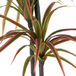 GloboStar® Artificial Garden DRAGON BLOOD TREE 20370 - Τεχνητό Διακοσμητικό Φυτό Δράκαινα Υ150cm - Image 3