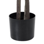 GloboStar® Artificial Garden DRAGON BLOOD TREE 20371 - Τεχνητό Διακοσμητικό Φυτό Δράκαινα Υ220cm - Image 6