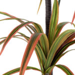 GloboStar® Artificial Garden DRAGON BLOOD TREE 20372 - Τεχνητό Διακοσμητικό Φυτό Δράκαινα Υ180cm - Image 3