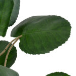 GloboStar® Artificial Garden POLYSCIAS BALFOURIANA TREE 20373 Τεχνητό Διακοσμητικό Φυτό Πολυσκιά Υ70cm - Image 3