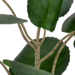 GloboStar® Artificial Garden POLYSCIAS BALFOURIANA TREE 20373 Τεχνητό Διακοσμητικό Φυτό Πολυσκιά Υ70cm - Image 4