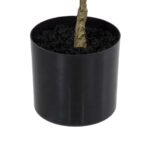 GloboStar® Artificial Garden POLYSCIAS BALFOURIANA TREE 20373 Τεχνητό Διακοσμητικό Φυτό Πολυσκιά Υ70cm - Image 5