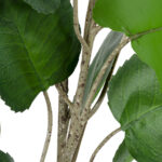 GloboStar® Artificial Garden POLYSCIAS BALFOURIANA TREE 20374 Τεχνητό Διακοσμητικό Φυτό Πολυσκιά Υ110cm - Image 4