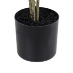 GloboStar® Artificial Garden POLYSCIAS BALFOURIANA TREE 20374 Τεχνητό Διακοσμητικό Φυτό Πολυσκιά Υ110cm - Image 5
