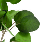 GloboStar® Artificial Garden POLYSCIAS BALFOURIANA TREE 20375 Τεχνητό Διακοσμητικό Φυτό Πολυσκιά Υ180cm - Image 3
