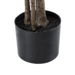 GloboStar® Artificial Garden POLYSCIAS BALFOURIANA TREE 20375 Τεχνητό Διακοσμητικό Φυτό Πολυσκιά Υ180cm - Image 5