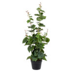 GloboStar® Artificial Garden VITIS GRAPE TREE 20379 Τεχνητό Διακοσμητικό Φυτό Άμπελος Υ90cm - Image 2