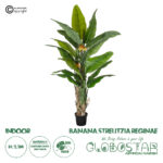 GloboStar® Artificial Garden BANANA STRELITZIA REGINAE 20381 - Τεχνητό Διακοσμητικό Φυτό  Μπανανιά - Στρελίτσια - Πουλί του Παραδείσου Υ230cm