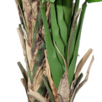 GloboStar® Artificial Garden BANANA STRELITZIA REGINAE 20381 - Τεχνητό Διακοσμητικό Φυτό  Μπανανιά - Στρελίτσια - Πουλί του Παραδείσου Υ230cm - Image 5