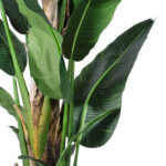 GloboStar® Artificial Garden BANANA TREE 20382 - Τεχνητό Διακοσμητικό Φυτό  Μπανανιά Υ300cm - Image 3