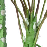 GloboStar® Artificial Garden PAPAYA TREE 20383 Τεχνητό Διακοσμητικό Φυτό  Παπάγια Υ270cm - Image 4