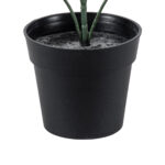 GloboStar® Artificial Garden BUXUS 20387 Τεχνητό Διακοσμητικό Φυτό Πυξός Υ30cm - Image 4