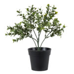 GloboStar® Artificial Garden BUXUS 20388 Τεχνητό Διακοσμητικό Φυτό Πυξός Υ30cm - Image 2