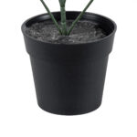 GloboStar® Artificial Garden LEMON CYPRESS 20389 Τεχνητό Διακοσμητικό Φυτό Λεμονόκυπάρισσο Υ30cm - Image 4