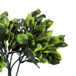 GloboStar® Artificial Garden ANUBIA BARTERI 20390 Τεχνητό Διακοσμητικό Φυτό Ανούμπια Υ30cm - Image 3