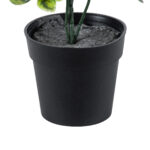 GloboStar® Artificial Garden ANUBIA BARTERI 20390 Τεχνητό Διακοσμητικό Φυτό Ανούμπια Υ30cm - Image 4