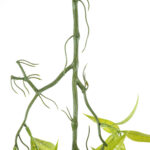 GloboStar® Artificial Garden SALIX MATSUDANA HANGING BRANCH 20411 Τεχνητό Διακοσμητικό Κρεμαστό Φυτό Ιτέα Υ80cm - Image 4