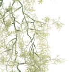 GloboStar® Artificial Garden EUCALYPTUS HANGING BRANCH 20412 Τεχνητό Διακοσμητικό Κρεμαστό Φυτό Ευκάλυπτος Υ90cm - Image 3