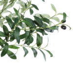 GloboStar® Artificial Garden OLIVE TREE 20429 Τεχνητό Διακοσμητικό Δέντρο Ελιά Υ240cm - Image 3