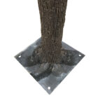GloboStar® Artificial Garden WISTERIA FLOWER TREE 20433 Τεχνητό Διακοσμητικό Δέντρο Βιστερία Υ340cm - Image 4