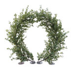 GloboStar® Artificial Garden EYCALYPTUS CINEREA ARCH 20434 Τεχνητή Διακοσμητική Αψίδα Ευκάλυπτου Μ250cm x Υ250cm - Image 2