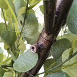 GloboStar® Artificial Garden EYCALYPTUS CINEREA ARCH 20434 Τεχνητή Διακοσμητική Αψίδα Ευκάλυπτου Μ250cm x Υ250cm - Image 4