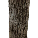 GloboStar® Artificial Garden ACER RUBRUM SYCAMORE TREE 20437 Τεχνητό Διακοσμητικό Δέντρο Κόκκινος Σφένδαμος Υ400cm - Image 4