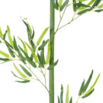 GloboStar® Artificial Garden BAMBOO BRANCH 20440 Τεχνητό Διακοσμητικό Κλαδί Μπαμπού Υ250cm - Image 3