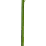 GloboStar® Artificial Garden BAMBOO BRANCH 20440 Τεχνητό Διακοσμητικό Κλαδί Μπαμπού Υ250cm - Image 4