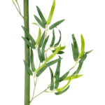 GloboStar® Artificial Garden BAMBOO BRANCH 20441 Τεχνητό Διακοσμητικό Κλαδί Μπαμπού Υ300cm - Image 3