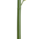 GloboStar® Artificial Garden BAMBOO BRANCH 20441 Τεχνητό Διακοσμητικό Κλαδί Μπαμπού Υ300cm - Image 4
