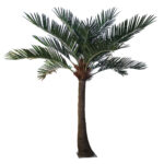 GloboStar® Artificial Garden COCONUT PALM TREE 20442 Τεχνητό Διακοσμητικό Φοινικόδεντρο Κοκοφοίνικας Εξωτερικού Χώρου IP68 UV Certified Protection Υ400cm - Image 2