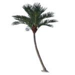 GloboStar® Artificial Garden CURVED COCONUT PALM TREE 20443 Τεχνητό Διακοσμητικό Κυρτό Φοινικόδεντρο Κοκοφοίνικας Εξωτερικού Χώρου IP68 UV Certified Protection Υ400cm - Image 2