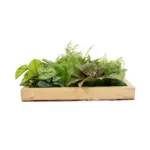 GloboStar® Artificial Garden VARIOUS PLANT 20641 Τεχνητό Διακοσμητικό Φυλλωσιάς σε Ξύλινο Πάνελ - Κάθετος Κήπος Μιξ Μ60 x Π60 x Υ32cm - Image 4