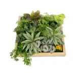 GloboStar® Artificial Garden VARIOUS PLANT 20641 Τεχνητό Διακοσμητικό Φυλλωσιάς σε Ξύλινο Πάνελ - Κάθετος Κήπος Μιξ Μ60 x Π60 x Υ32cm - Image 5