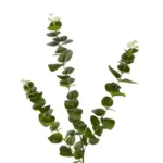 GloboStar® Artificial Garden EUCALYPTUS BRANCH 20484 Τεχνητό Διακοσμητικό Κλαδί Ευκάλυπτου Πράσινο Π30 x Μ30 x Υ80m - Image 3