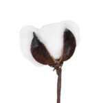 GloboStar® Artificial Garden COTTON BRANCH 20493 Τεχνητό Διακοσμητικό Κλαδί βαμβάκι Υ43cm - Image 3
