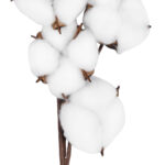 GloboStar® Artificial Garden COTTON BRANCH 20558 Τεχνητό Διακοσμητικό Κλαδί βαμβάκι Υ45cm - Image 4