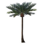 GloboStar® Artificial Garden COCONUT PALM TREE 20595 Τεχνητό Διακοσμητικό Φοινικόδεντρο Κοκοφοίνικας Υ600cm - Image 2