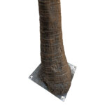 GloboStar® Artificial Garden COCONUT PALM TREE 20595 Τεχνητό Διακοσμητικό Φοινικόδεντρο Κοκοφοίνικας Υ600cm - Image 3