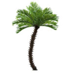GloboStar® Artificial Garden PHOENIX ROEBELENII PALM TREE 20597 Τεχνητό Διακοσμητικό Φυτό Φοινικόδεντρο Ρομπελίνι Εξωτερικού Χώρου IP68 UV Certified Protection Υ600cm - Image 2
