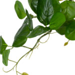 GloboStar® Artificial Garden HANGING PEPEROMIA 20599 Τεχνητό Διακοσμητικό Κρεμαστό Φυτό Πεπερόμια Μ30 x Π31 x Υ50cm - Image 5
