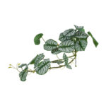 GloboStar® Artificial Garden HANGING ALOCASIA 20601 Τεχνητό Διακοσμητικό Κρεμαστό Φυτό Αλοκάσια Μ28 x Π27 x Υ50cm - Image 3