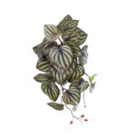 GloboStar® Artificial Garden PEPEROMIA HANGING PLANT 20602 Τεχνητό Διακοσμητικό Κρεμαστό Φυτό Πεπερόμια Υ45cm - Image 2