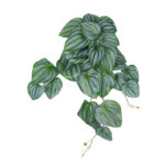 GloboStar® Artificial Garden PEPEROMIA HANGING PLANT 20603 Τεχνητό Διακοσμητικό Κρεμαστό Φυτό Πεπερόμια Υ45cm - Image 2