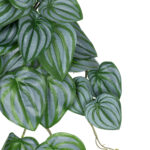 GloboStar® Artificial Garden PEPEROMIA HANGING PLANT 20603 Τεχνητό Διακοσμητικό Κρεμαστό Φυτό Πεπερόμια Υ45cm - Image 3